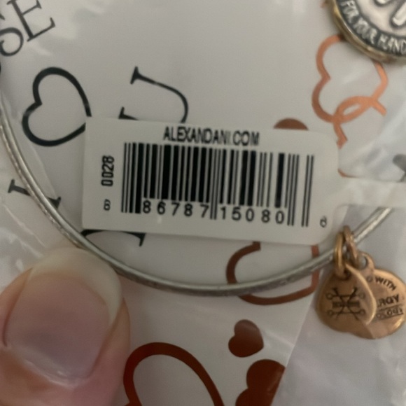 Alex and Ani Bracelet - Picture 2 of 6